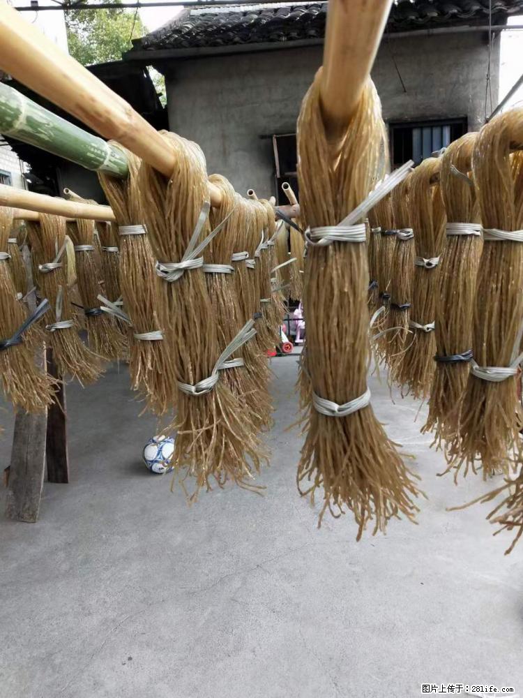 【灌阳正宗红薯粉】美女家里自己做的，干净卫生，假一赔十，价格合理，抢购电话：13737312895 - 美食天地 - 赣州生活社区 - 赣州28生活网 ganzhou.28life.net