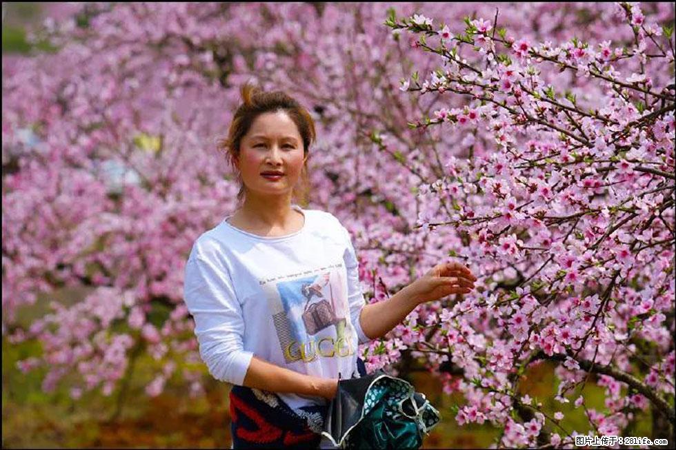 【春天，广西桂林灌阳县向您发出邀请！】官庄村有个醉美的桃花园 - 游山玩水 - 赣州生活社区 - 赣州28生活网 ganzhou.28life.net