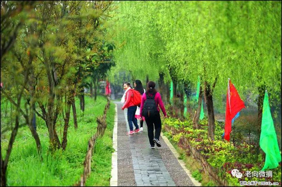 【春天，广西桂林灌阳县向您发出邀请！】江口老街又逢春 - 游山玩水 - 赣州生活社区 - 赣州28生活网 ganzhou.28life.net