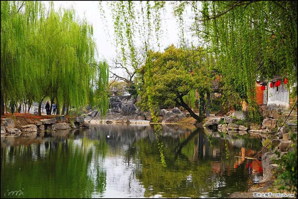 【春天，广西桂林灌阳县向您发出邀请！】江口老街又逢春 - 游山玩水 - 赣州生活社区 - 赣州28生活网 ganzhou.28life.net