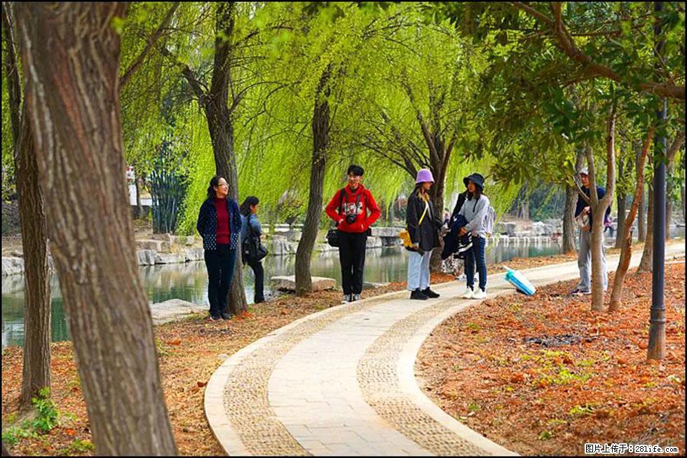 【春天，广西桂林灌阳县向您发出邀请！】江口老街又逢春 - 游山玩水 - 赣州生活社区 - 赣州28生活网 ganzhou.28life.net