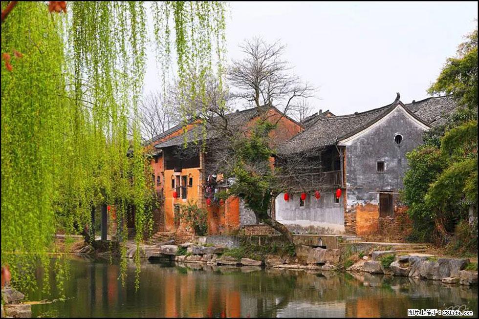 【春天，广西桂林灌阳县向您发出邀请！】江口老街又逢春 - 游山玩水 - 赣州生活社区 - 赣州28生活网 ganzhou.28life.net