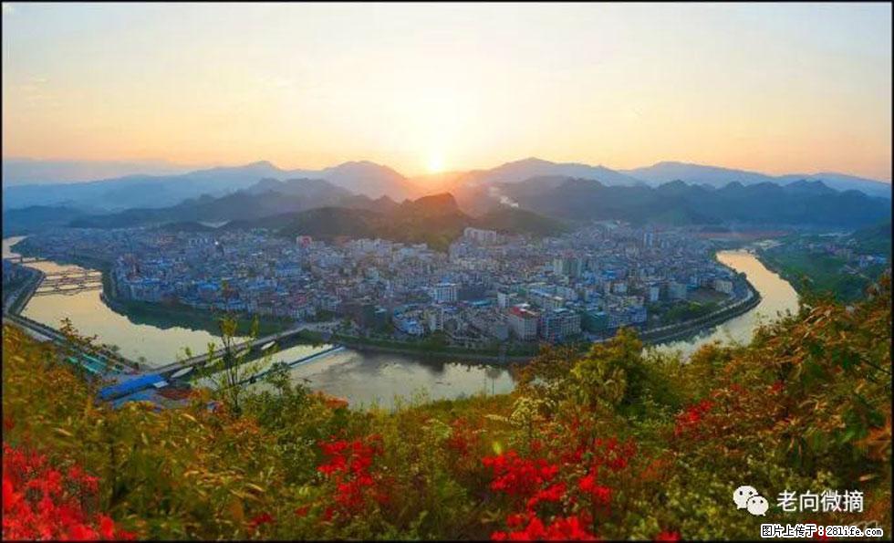 【春天，广西桂林灌阳县向您发出邀请！】登麒麟山，相约映山红 - 游山玩水 - 赣州生活社区 - 赣州28生活网 ganzhou.28life.net