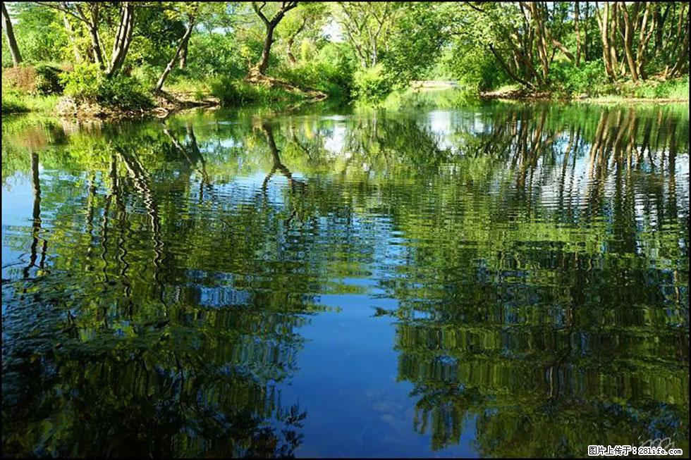 【春天，广西桂林灌阳县向您发出邀请！】熊家寨湿地公园 - 游山玩水 - 赣州生活社区 - 赣州28生活网 ganzhou.28life.net