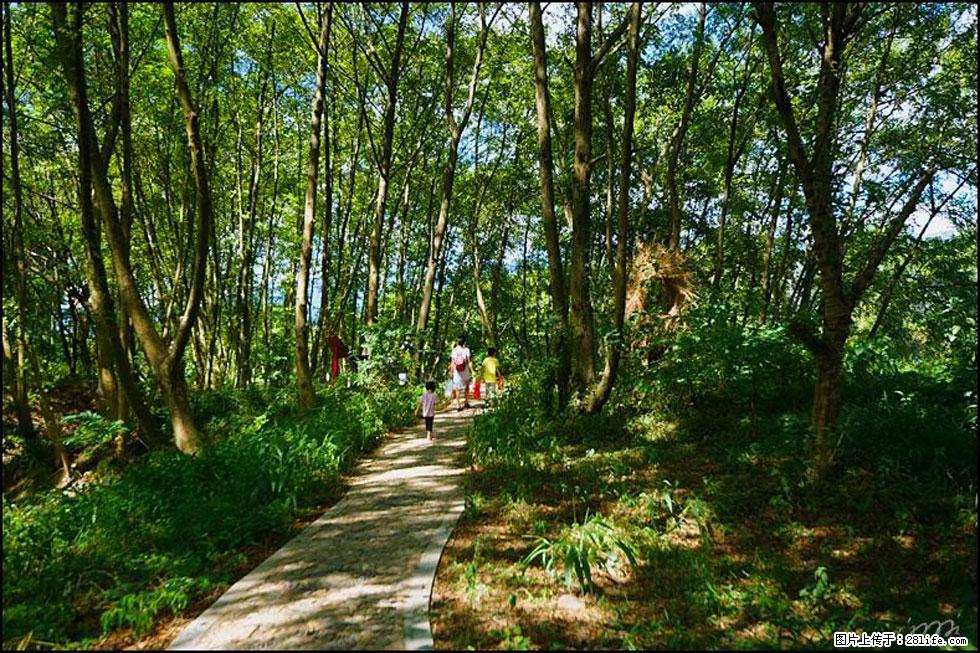 【春天，广西桂林灌阳县向您发出邀请！】熊家寨湿地公园 - 游山玩水 - 赣州生活社区 - 赣州28生活网 ganzhou.28life.net
