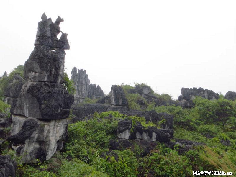 桂林旅游名城景点：灌阳文市石林 - 游山玩水 - 赣州生活社区 - 赣州28生活网 ganzhou.28life.net