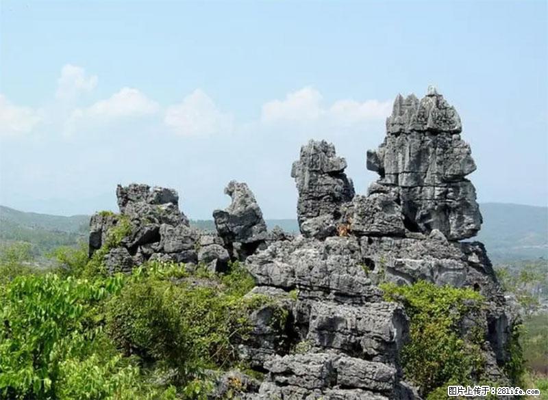 桂林旅游名城景点：灌阳文市石林 - 游山玩水 - 赣州生活社区 - 赣州28生活网 ganzhou.28life.net