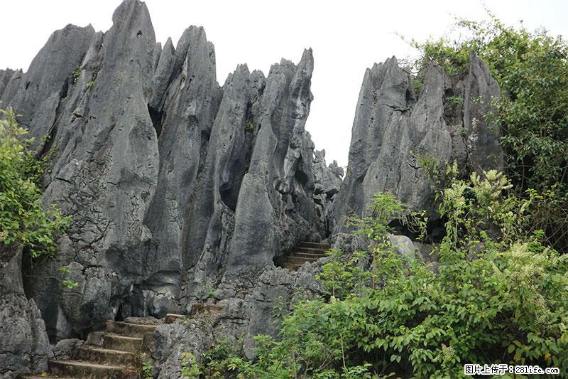 桂林旅游名城景点：灌阳文市石林 - 游山玩水 - 赣州生活社区 - 赣州28生活网 ganzhou.28life.net