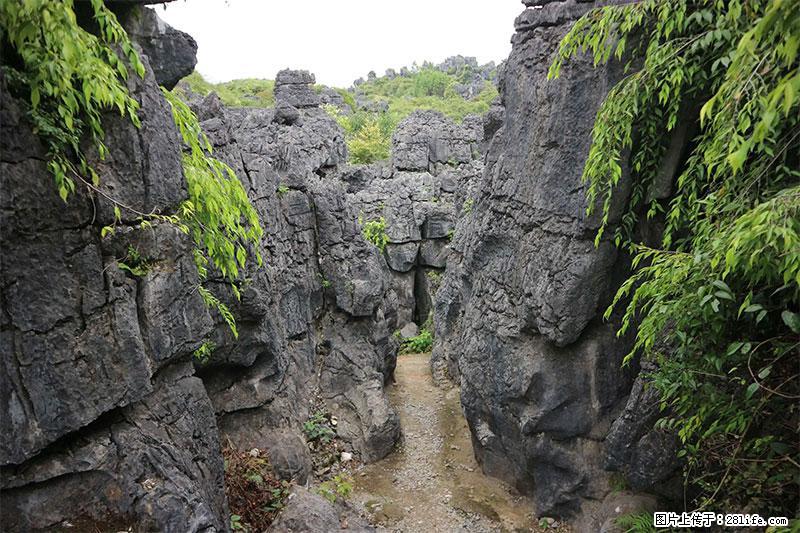 桂林旅游名城景点：灌阳文市石林 - 游山玩水 - 赣州生活社区 - 赣州28生活网 ganzhou.28life.net