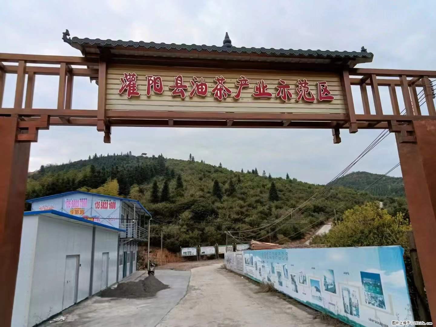 【灌阳县油茶产业示范区】一个有着充实的精神生活的人，对待身外之物自会有一种淡泊的态度 - 美食天地 - 赣州生活社区 - 赣州28生活网 ganzhou.28life.net