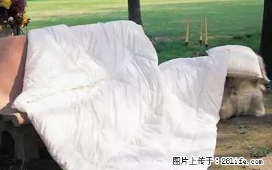 被子有异味？只要这样做，比晒太阳还强100倍！ - 家居生活 - 赣州生活社区 - 赣州28生活网 ganzhou.28life.net