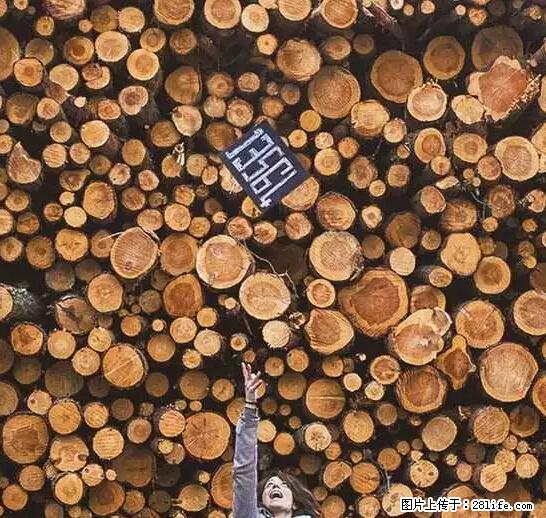 辞掉工作周游世界？现在他们在洗厕所…… - 游山玩水 - 赣州生活社区 - 赣州28生活网 ganzhou.28life.net