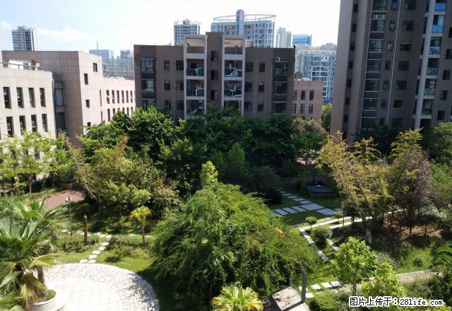 富地中心 全新装修大三房带车位 3750元 办公非常棒 - 房屋出租 - 房屋租售 - 赣州分类信息 - 赣州28生活网 ganzhou.28life.net