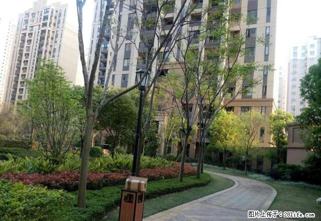 章江新区 中海两房 拎包入住 - 房屋出租 - 房屋租售 - 赣州分类信息 - 赣州28生活网 ganzhou.28life.net
