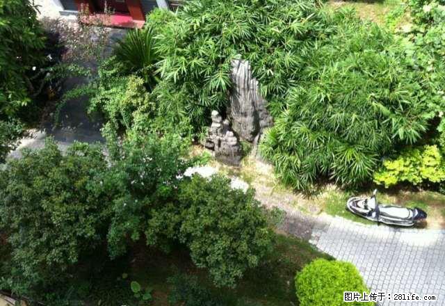 急租 ！ 金坪花园 红旗小学旁 大三房精装 只租2000 - 房屋出租 - 房屋租售 - 赣州分类信息 - 赣州28生活网 ganzhou.28life.net