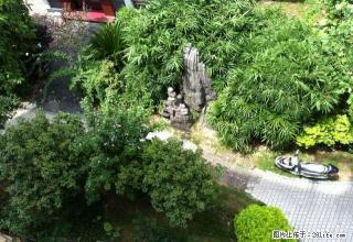 急租 ！ 金坪花园 红旗小学旁 大三房精装 只租2000 - 赣州28生活网 ganzhou.28life.net