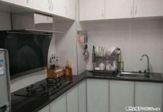 开发区1房豪装出租，金凤梅园旁中民阳光城 - 赣州28生活网 ganzhou.28life.net