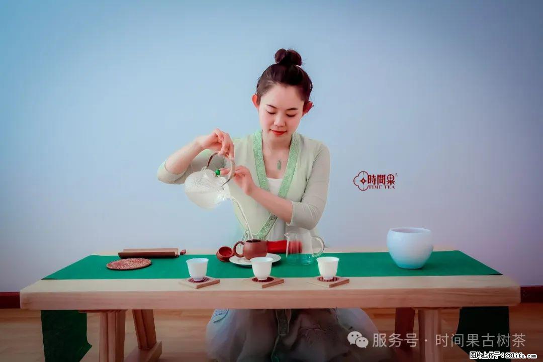 时间果百年古树龙珠普洱生茶 - 购物交流 - 赣州生活社区 - 赣州28生活网 ganzhou.28life.net