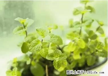 晕车、脚气、牙齿变黄、皮肤粗糙？学会这些三分钟搞定！ - 赣州生活资讯 - 赣州28生活网 ganzhou.28life.net