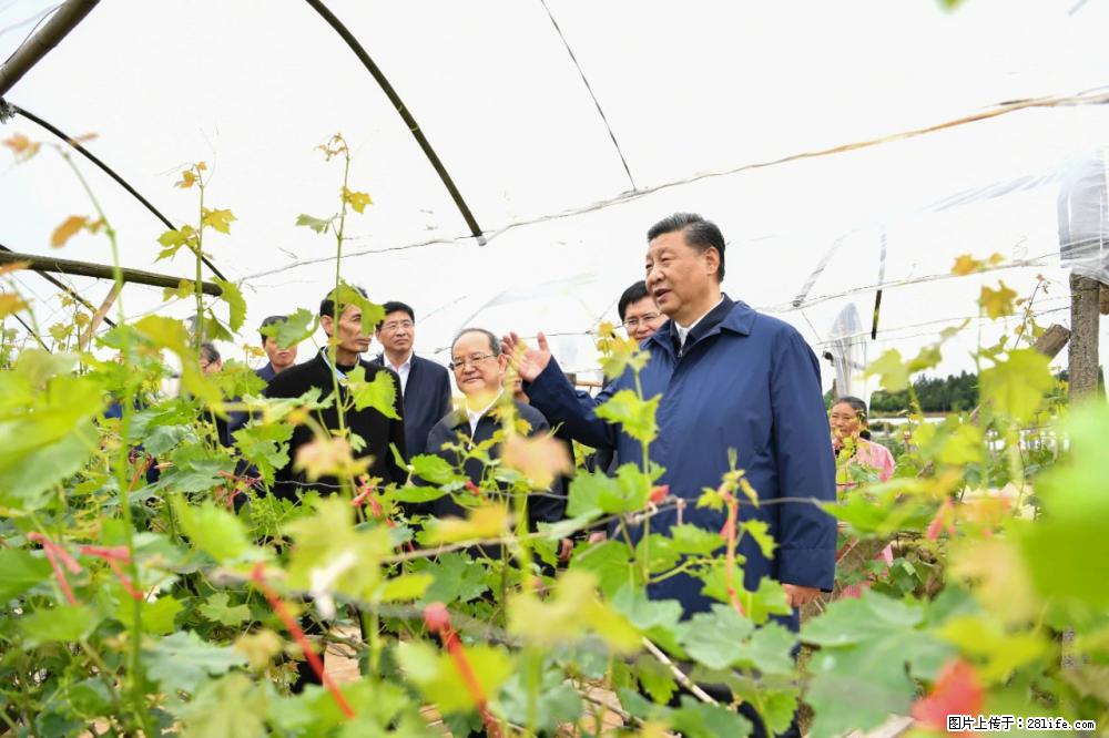 习近平赴广西考察调研 - 赣州生活资讯 - 赣州28生活网 ganzhou.28life.net