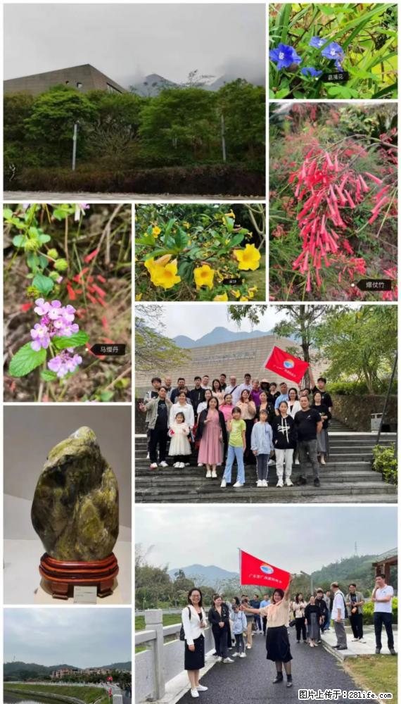 “粤灌文化 美好生活”油茶文化主题活动在广东深圳成功举办 - 赣州生活资讯 - 赣州28生活网 ganzhou.28life.net