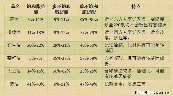 揭秘茶油的5大核心营养成分！被称为人体健康的“守护盾”！ - 赣州生活资讯 - 赣州28生活网 ganzhou.28life.net