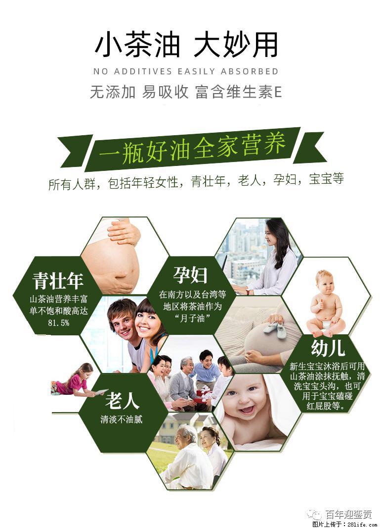世界没有真相，只有认知，最好的食用油是中国的山茶油！ - 赣州生活资讯 - 赣州28生活网 ganzhou.28life.net