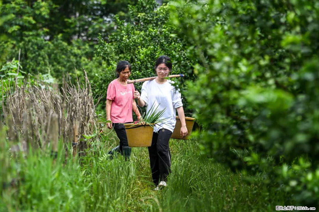 全网追的“扁担女孩”，找了一份暑假工，时薪12元 - 赣州生活资讯 - 赣州28生活网 ganzhou.28life.net