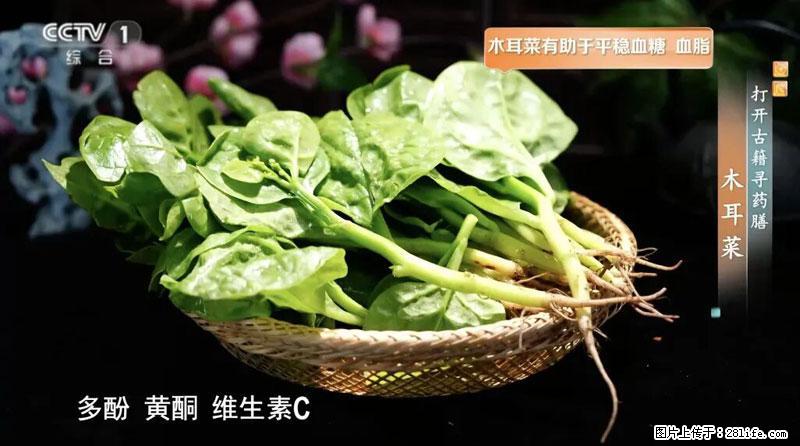 比牛奶补钙还厉害！凉血解毒、稳血糖...这菜冬天必吃，很多人却当草 - 赣州生活资讯 - 赣州28生活网 ganzhou.28life.net
