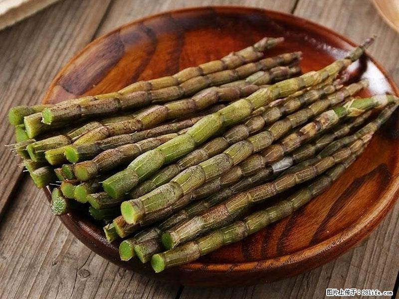 铁皮石斛的作用与功能主治 - 赣州生活资讯 - 赣州28生活网 ganzhou.28life.net