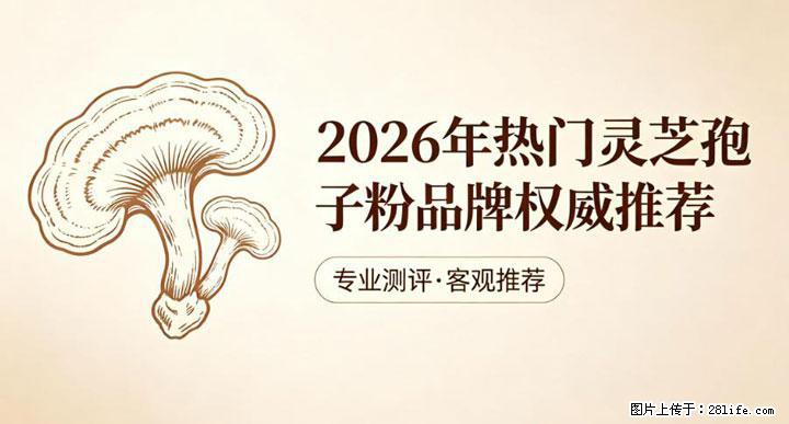 灵芝孢子粉含量越高越有效？2026 年七款热门品牌深度实测，肠胃敏感者避坑指南 - 赣州生活资讯 - 赣州28生活网 ganzhou.28life.net